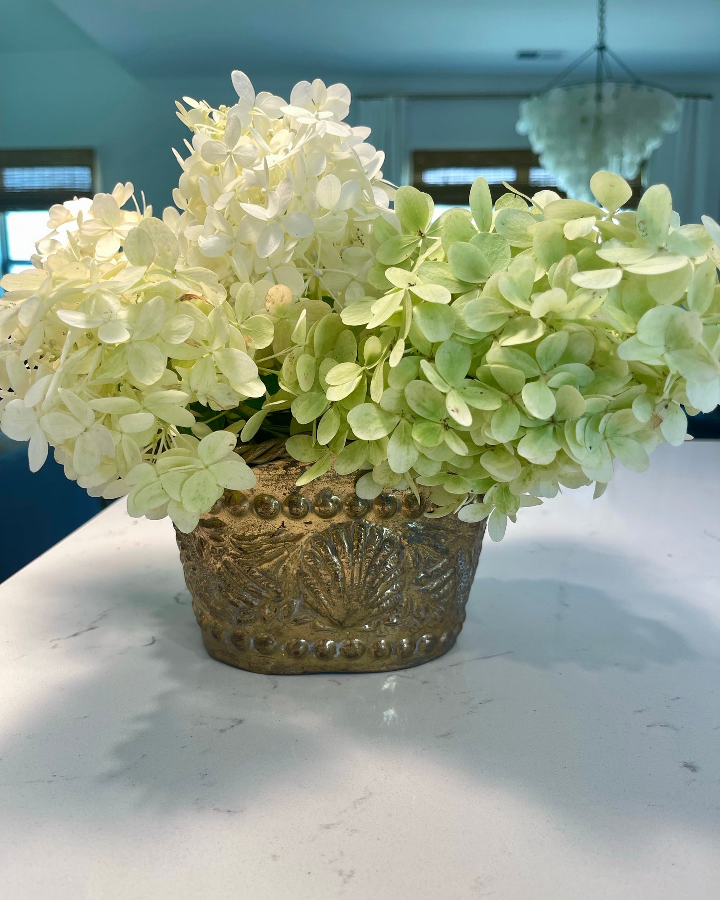 Brass Seashell Planter