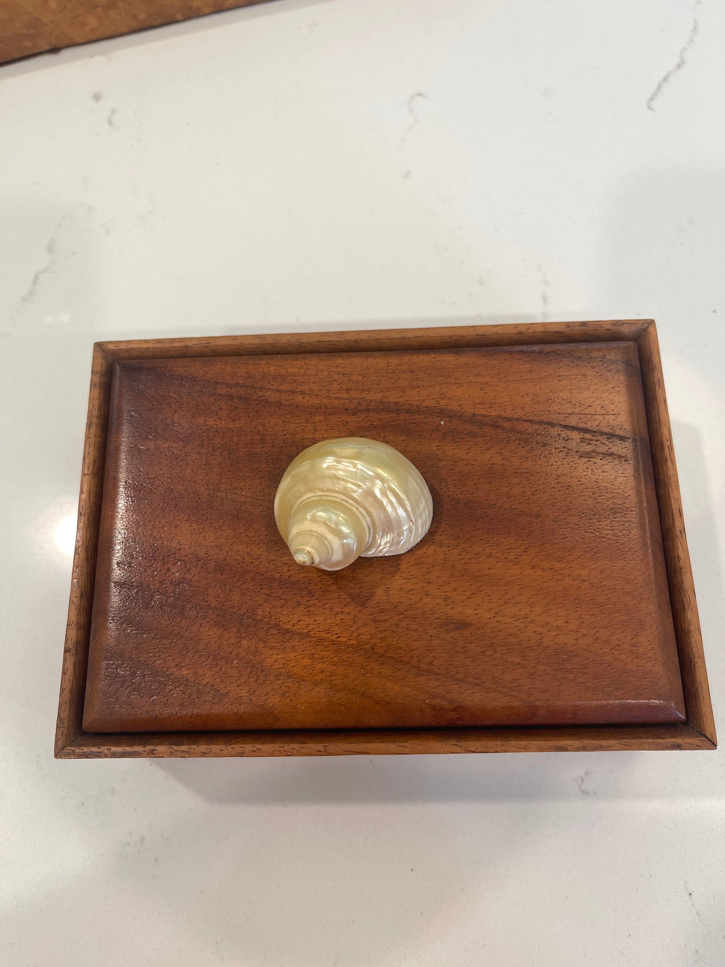 Seashell Wooden Trinket Box