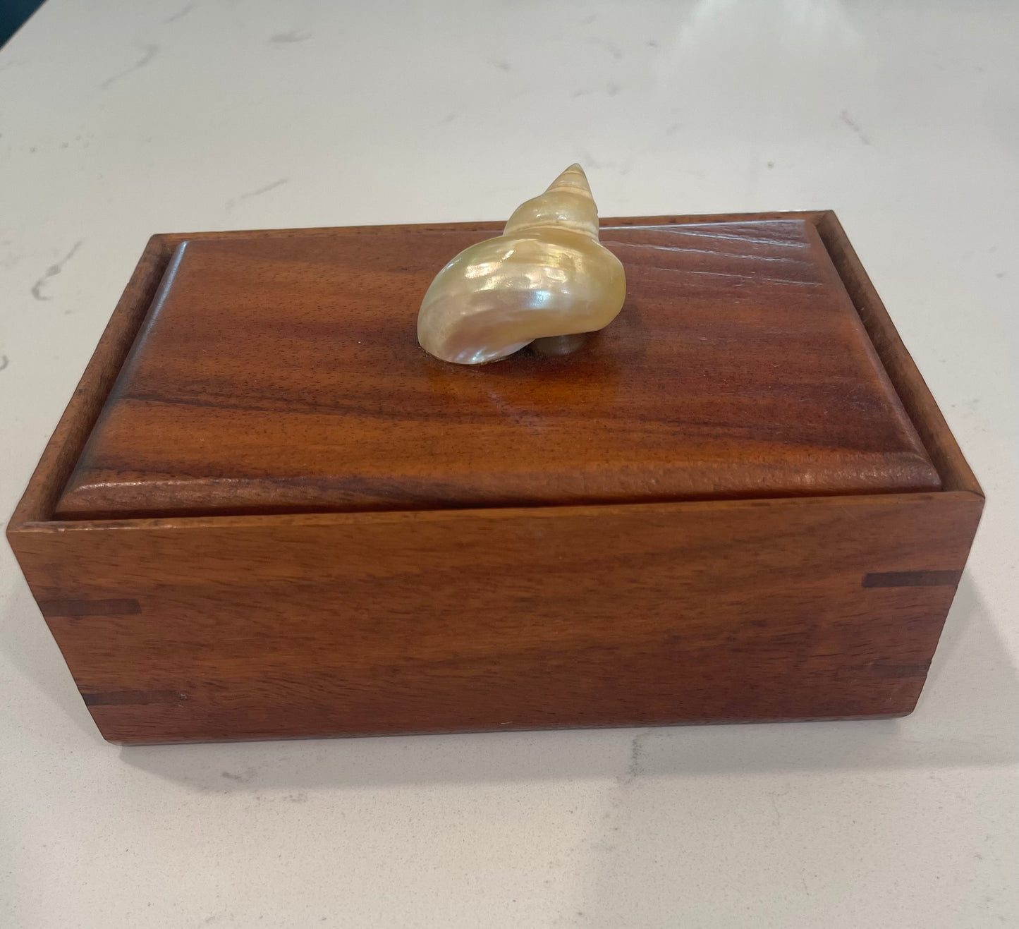 Seashell Wooden Trinket Box