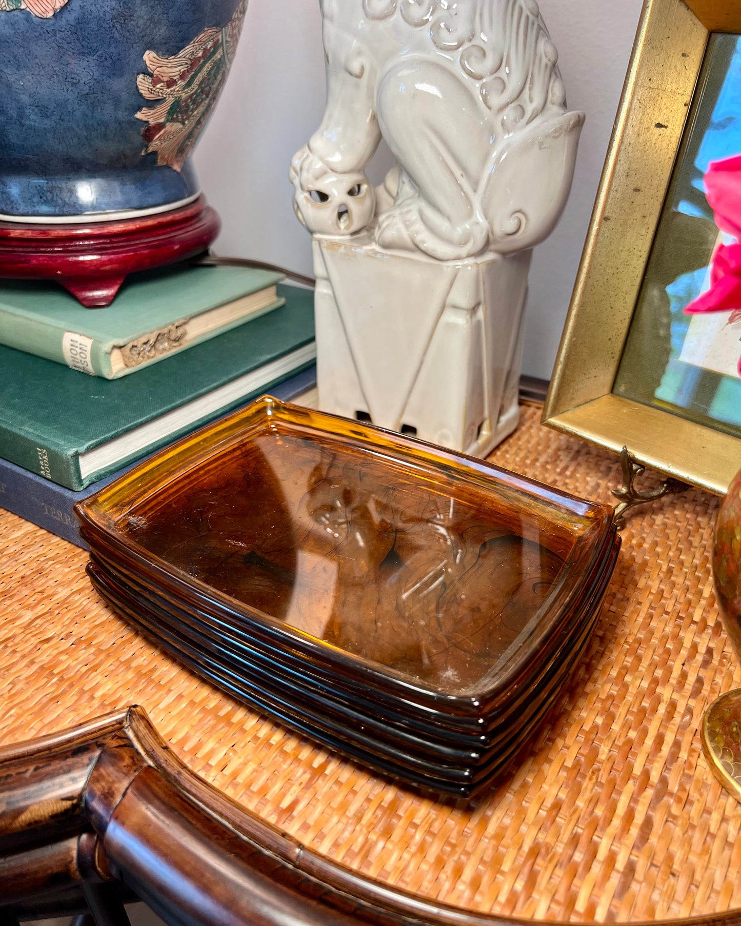 Tortoise Lucite Trays