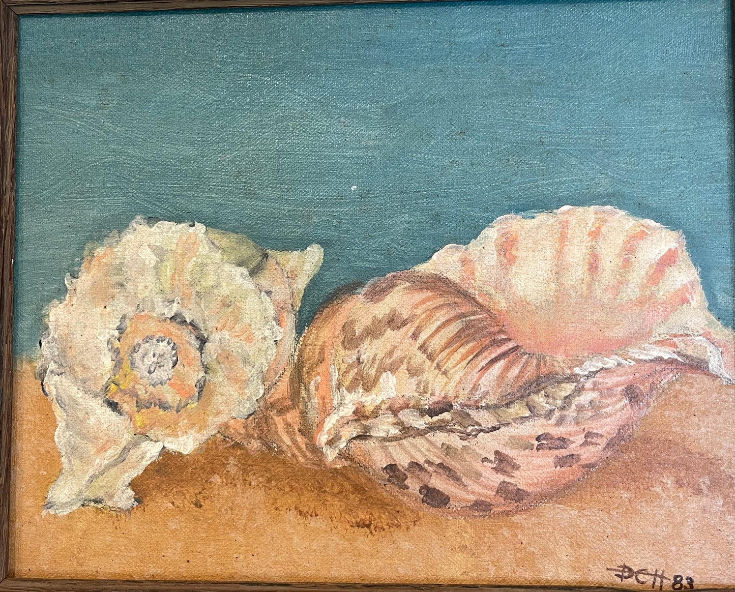 Vintage Seashell Framed Painting